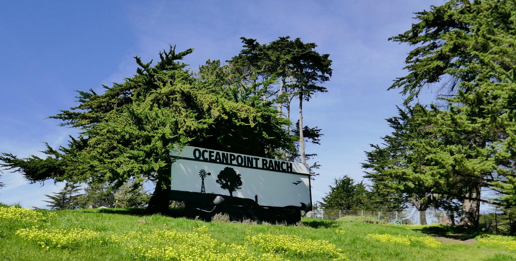 Oceanpoint Ranch Ξενοδοχείο Cambria Εξωτερικό φωτογραφία